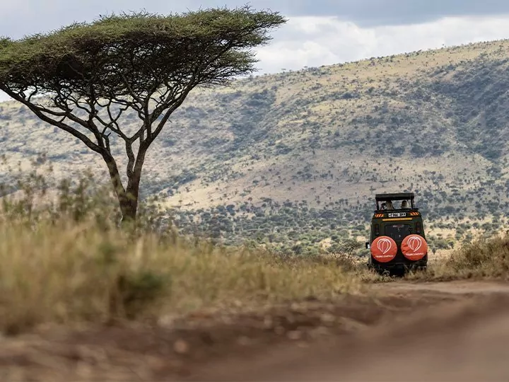 Afrika reizen en safari