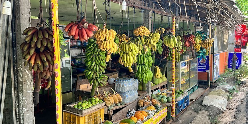 Wegstalletje met bananen in verschillende kleuren
