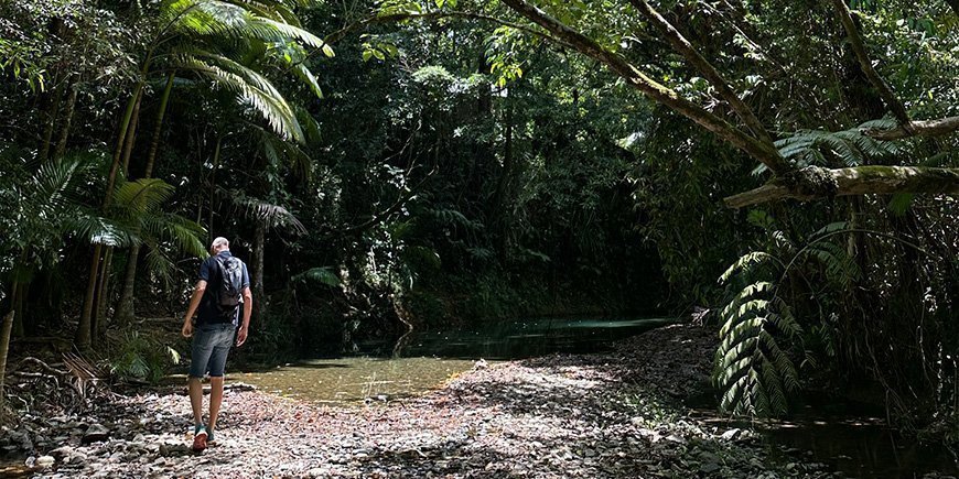 Man staat in het Daintree regenwoud in Australië