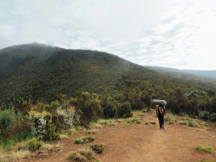 Arbeidsomstandigheden voor gidsen en dragers, Kilimanjaro