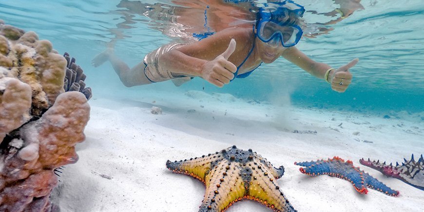 Vrouw snorkelt in Zanzibar en vindt zeesterren