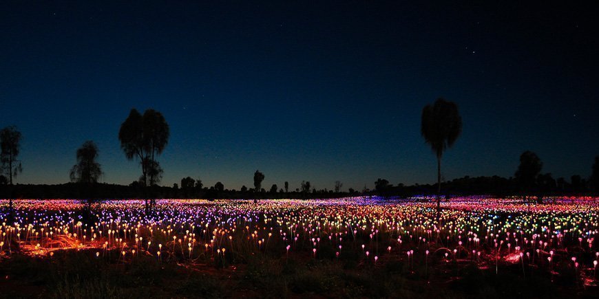 Field of light bij Uluru in Australië
