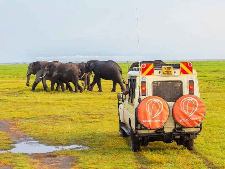 Safari in Kenia & Gorilla Tracking in Oeganda