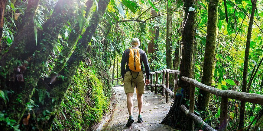 Wandelende man in een van de prachtige groene nationale parken van Costa Rica