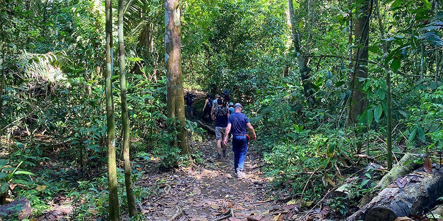 Een groep mensen aan het wandelen in het Corcovado Nationaal Park in Costa Rica