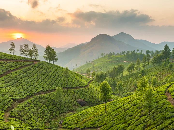 Het zuiden van Sri Lanka & strandvakantie op de Malediven
