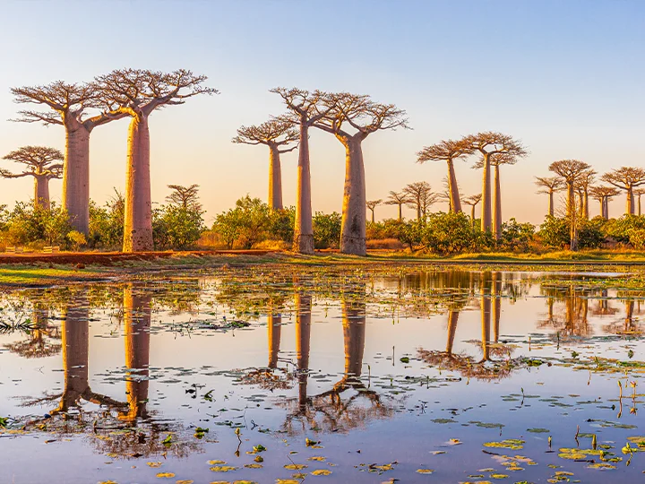 Kenia & Madagaskar