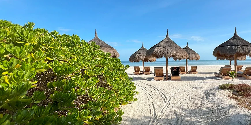 Strandstoelen met uitzicht op Isla Holbox