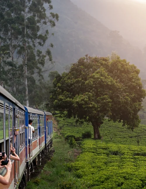 Sri Lankaanse cultuur en natuur & strandvakantie in Trincomalee
