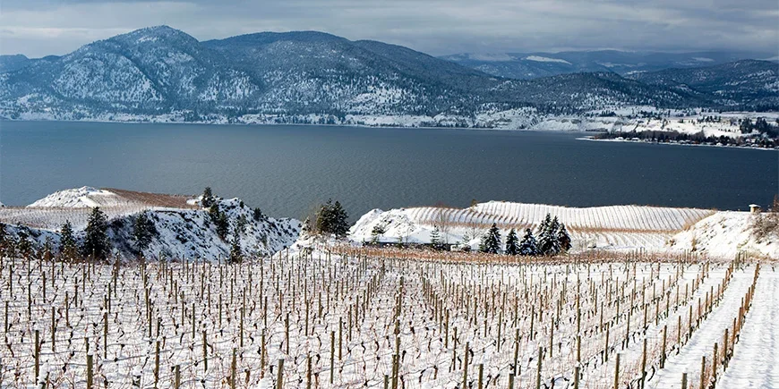 Winterlandschappen in de Okanagan Valley, Canada