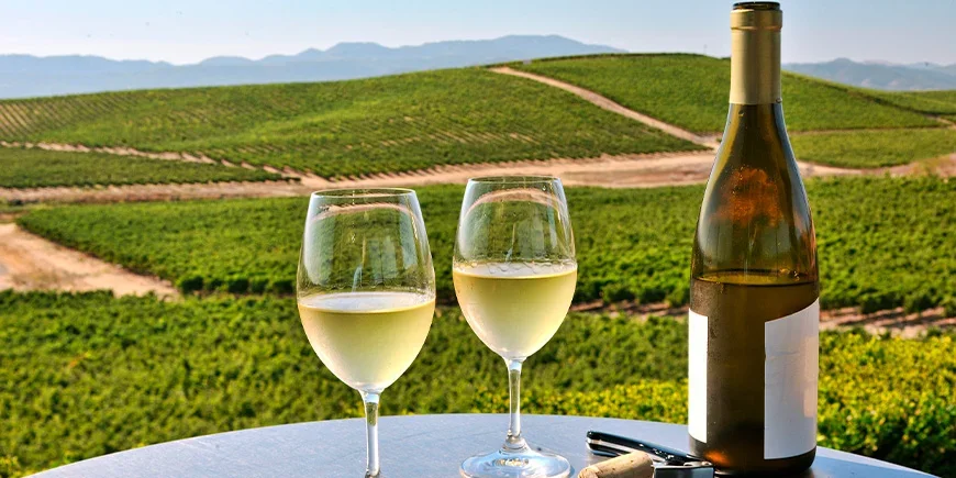 Twee glazen wijn met uitzicht over Napa Valley