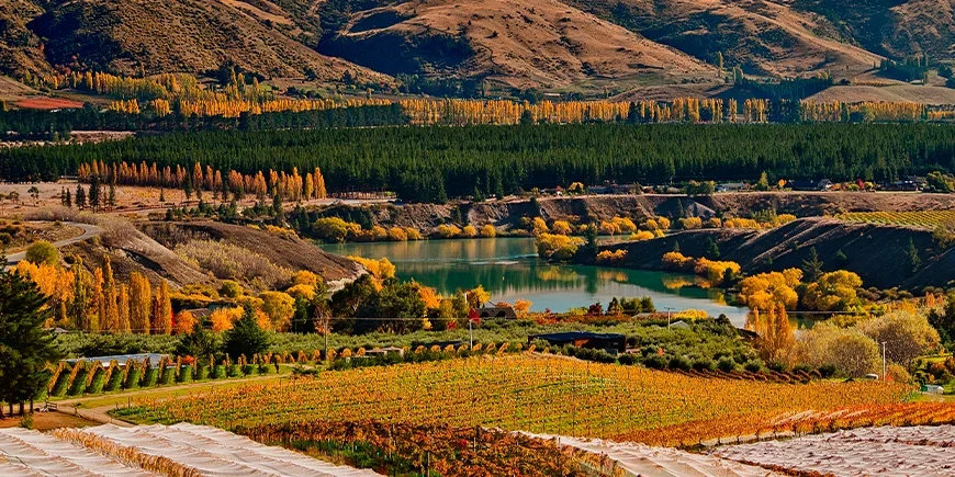 Central Otago in herfstkleuren