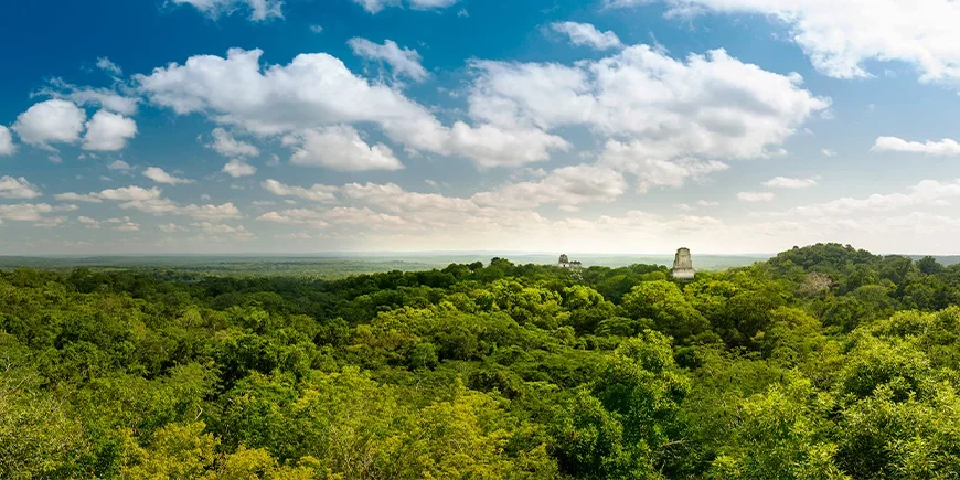 Overzicht van Nationaal park Tikal met ruïnes en regenwoud