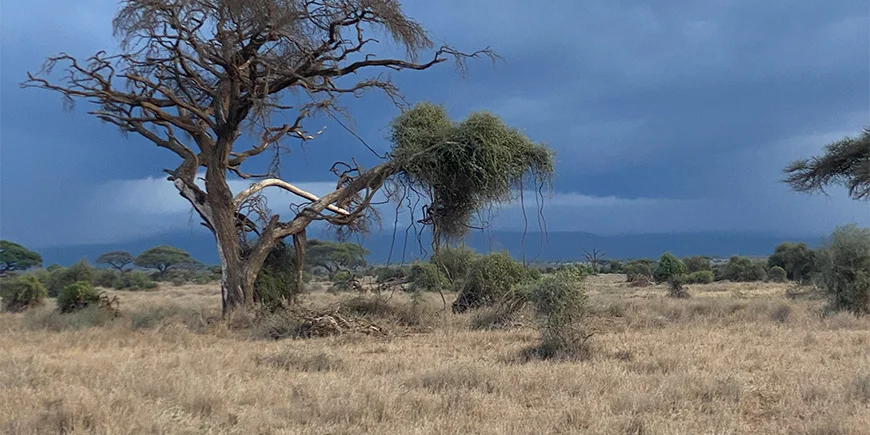 Dramatische lucht in Kenia