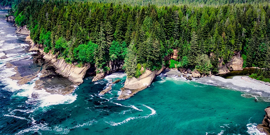 Pacific Rim op Vancouver Island in het westen van Canada