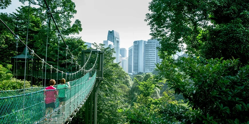 Twee vrouwen die een hangbrug oversteken in KL Forest Eco Park, Kuala Lumpur