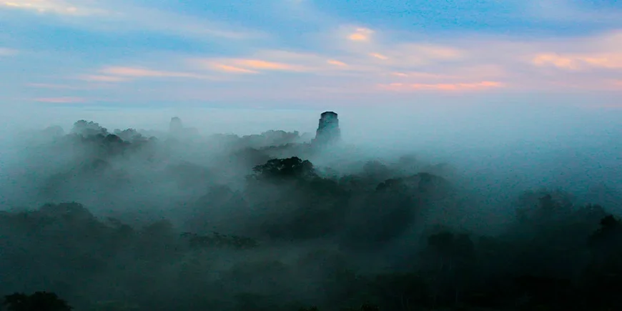 Blauwe zonsopgang in het nationaal park Tikal in Guatemala