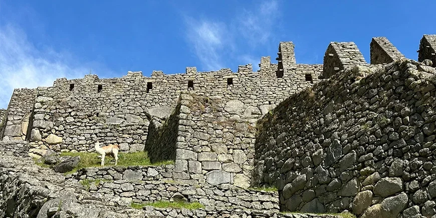 Dicht bij de ruïnes van Machu Picchu