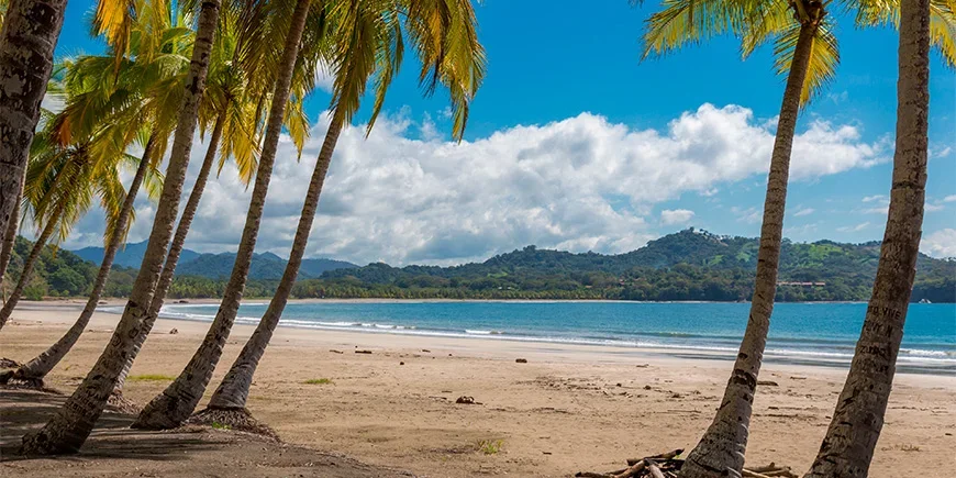 Palmbomen en blauwe lucht bij Sámara Beach in Costa Rica