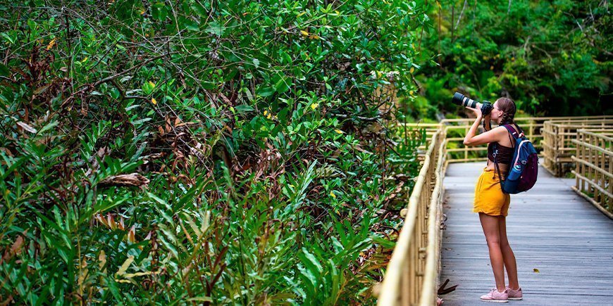 Jonge vrouw neemt foto's in Manuel Antonio National Park in Costa Rica