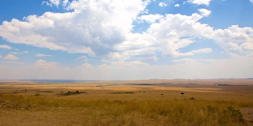 De eindeloze savanne van de Masai Mara in juli