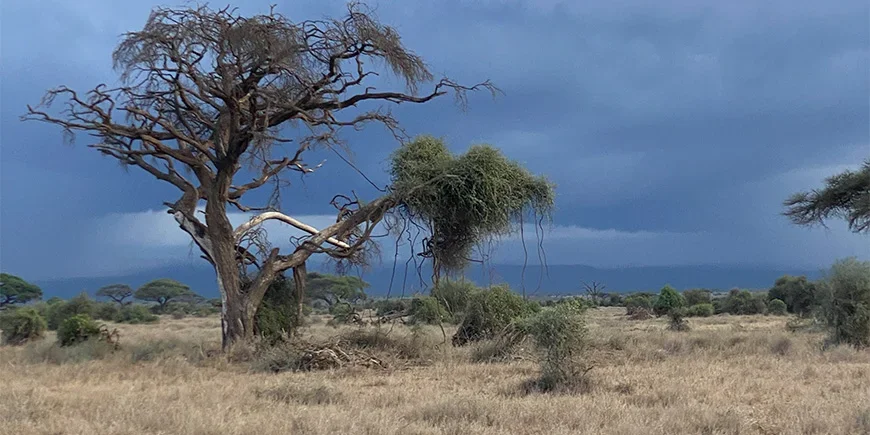 Indrukwekkende luchten tijdens het regenseizoen in Amboseli, Kenia