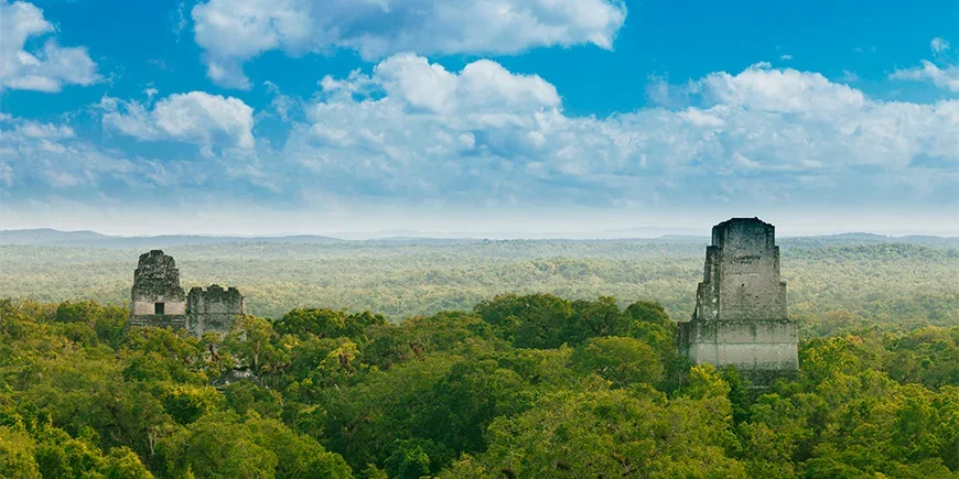 De Tikal-ruïnes in het hart van de Guatemalteekse jungle