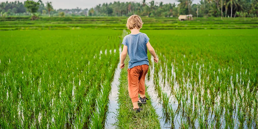 Jongen die door rijstvelden loopt in Vietnam