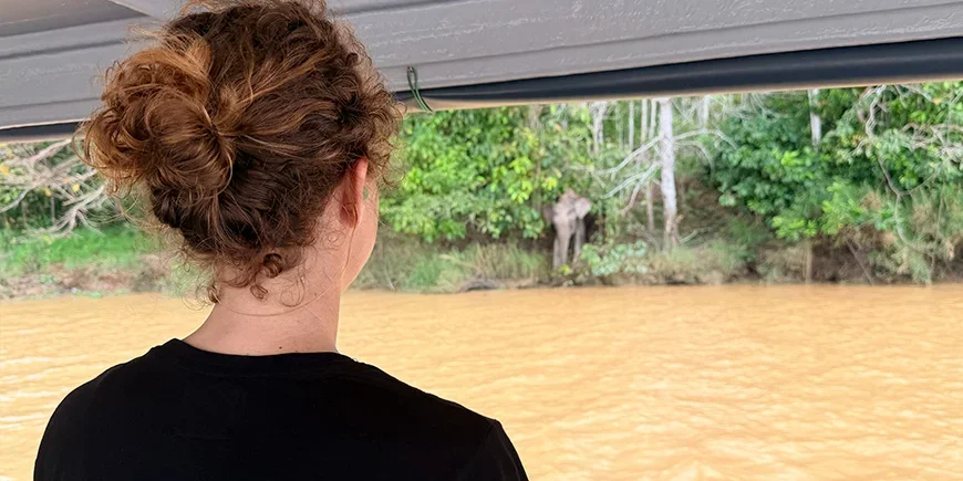 Jude van TourCompass kijkt naar olifanten aan de Kinabatang-rivier