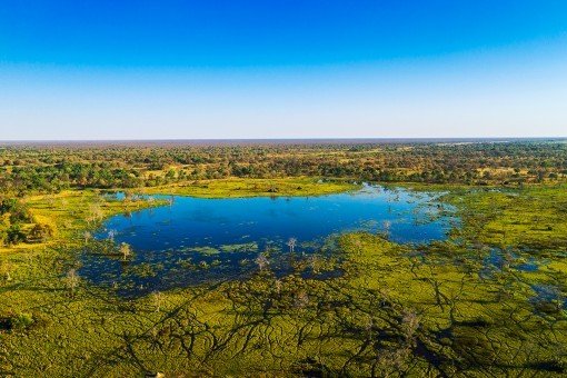 Uitzicht over de Okavango-delta