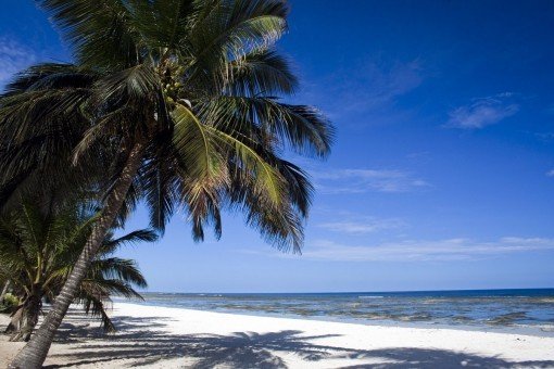 De witte zandstranden van Mombasa