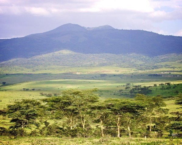 Ngorongoro