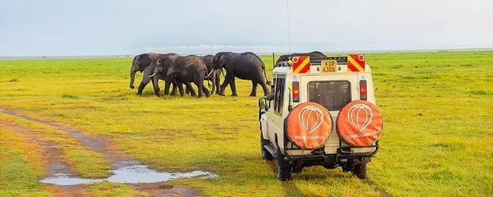 Safari-auto en olifanten in Amboseli Nationaal Park, Kenia