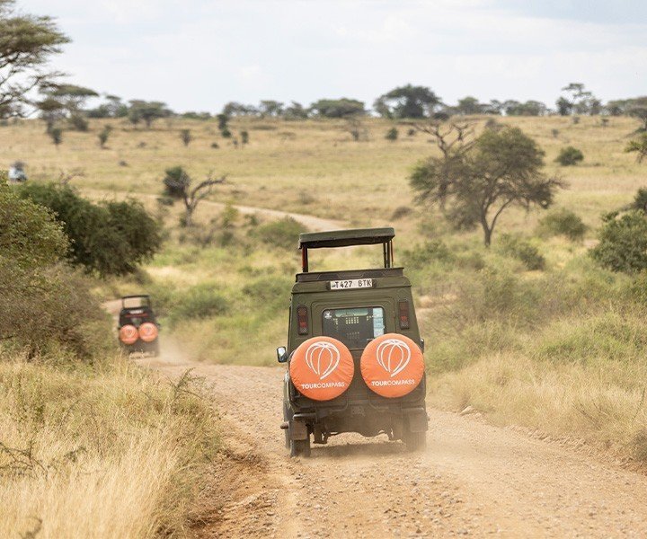 De beste 5 safarilanden in Afrika