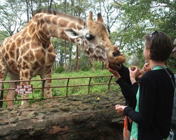 Girafcentrum in Nairobi