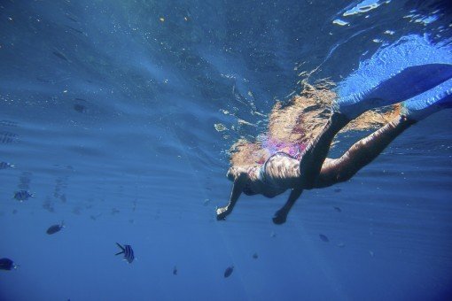 Zwem in de Indische Oceaan