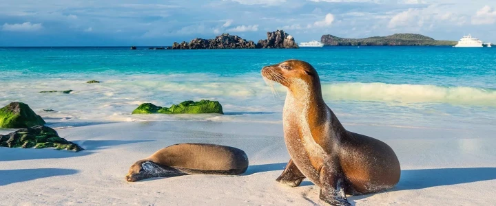 Ecuador/Galapagos