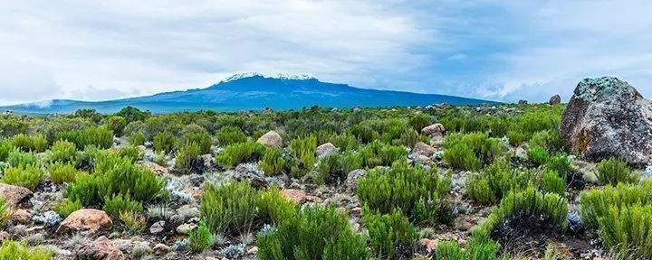 Uitzicht vanaf de Lemosho-route naar de Kilimanjaro