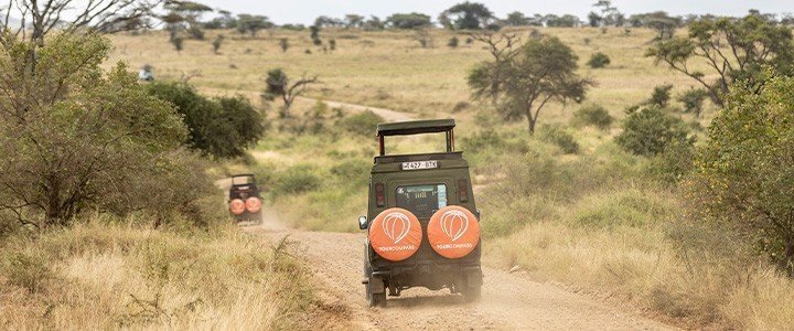 De beste 5 safarilanden in Afrika