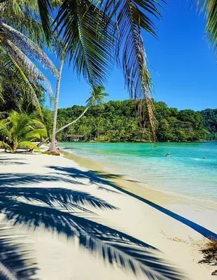 Tropisch strand met palmbomen op Koh Kood, Thailand