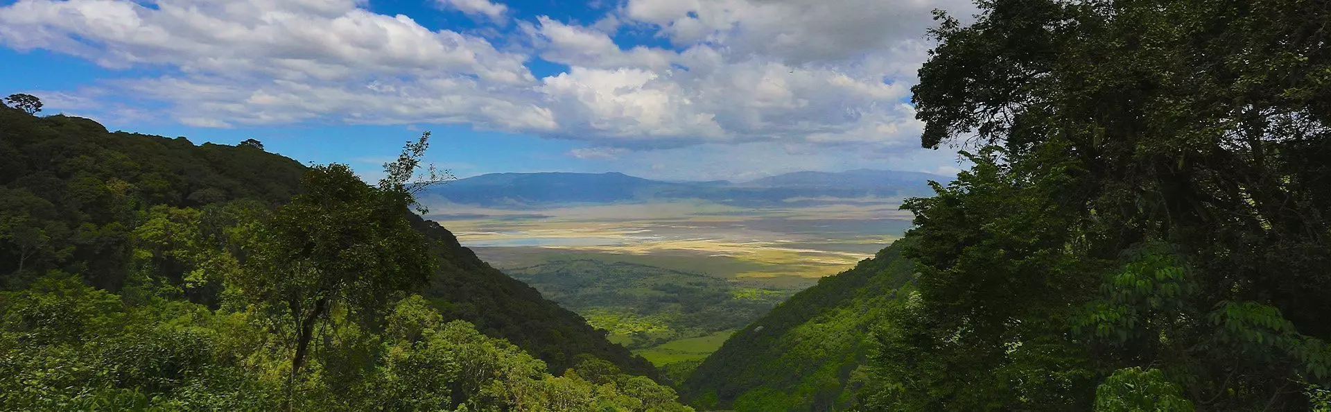 Overzichtsfoto van Ngorongoro in Tanzania