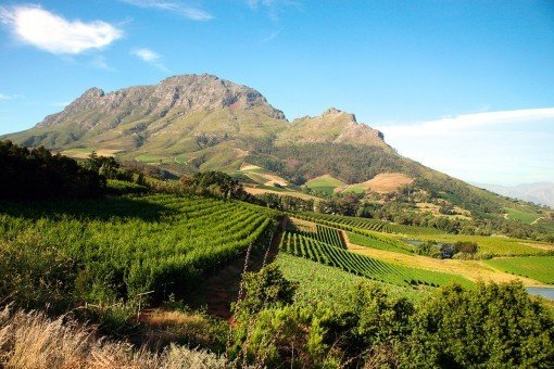Prachtig uitzicht op wijnvelden en bergen buiten Kaapstad